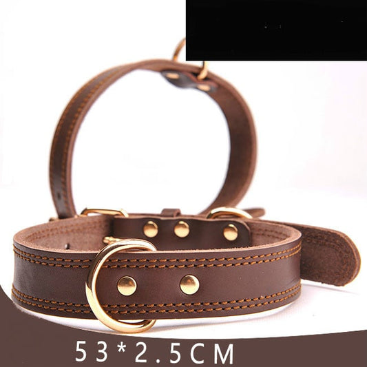 Leather Dog Collar l