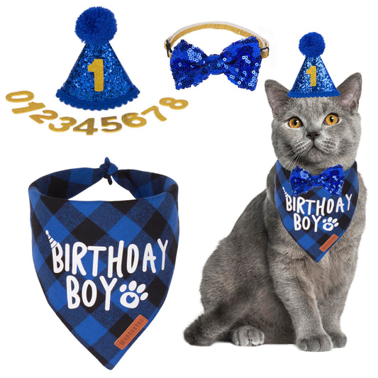 Cat Birthday Party Outfit Set