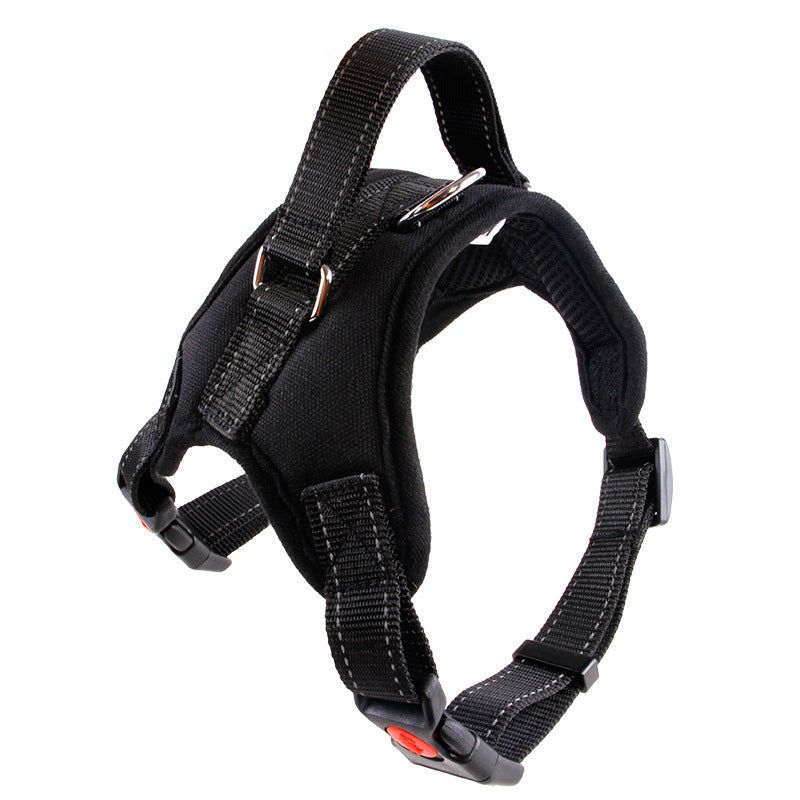 Medium and Large Dog Collar