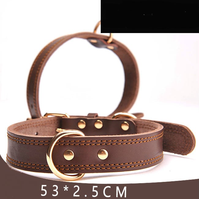 Leather Dog Collar l