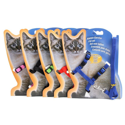 Multi-Color Cat Leash