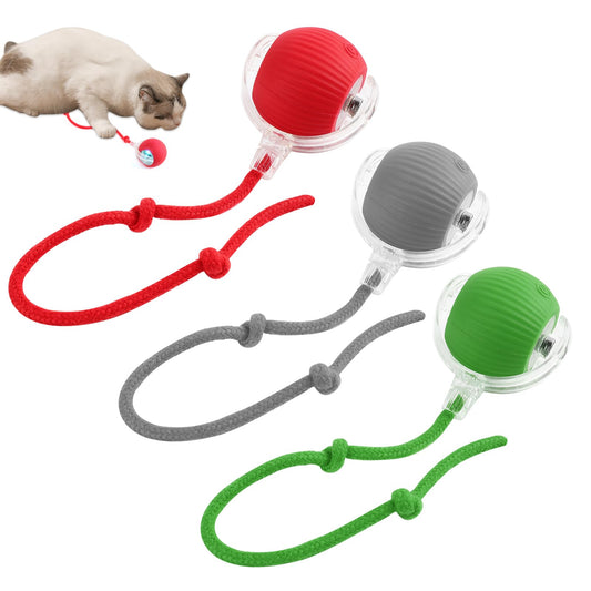 Interactive Cat and Dog Ball Toy