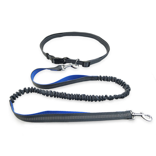 Dog Running Leash