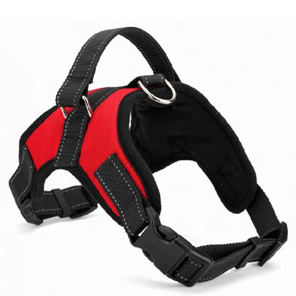 Medium and Large Dog Collar