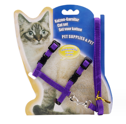Multi-Color Cat Leash
