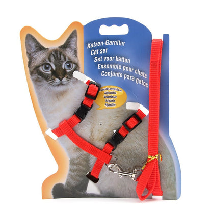 Multi-Color Cat Leash