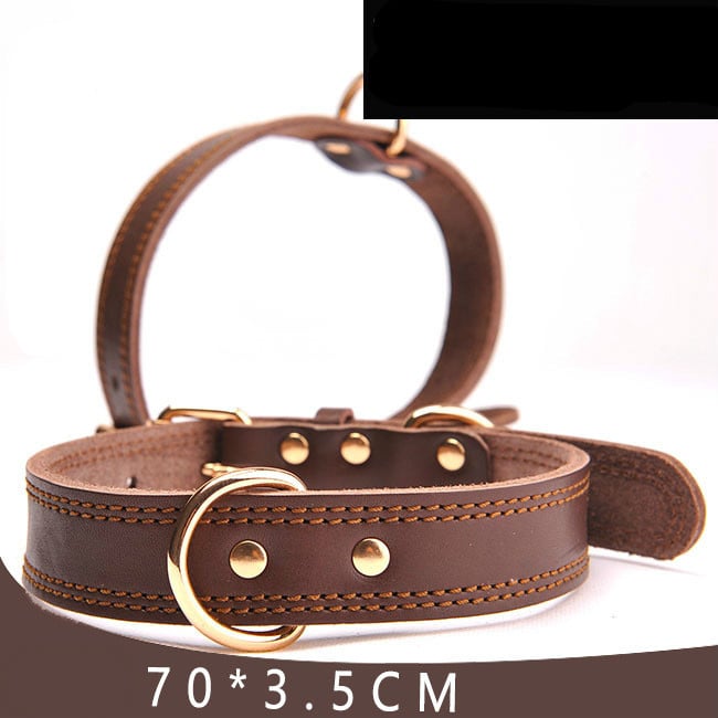 Leather Dog Collar l